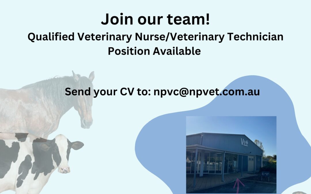 Position Available – Vet Nurse Technician